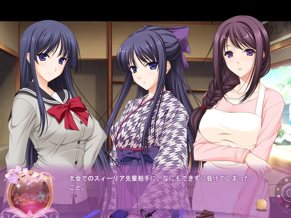 656f27ad8ac28 【GalGame】【PC】少女骑士物语More&More