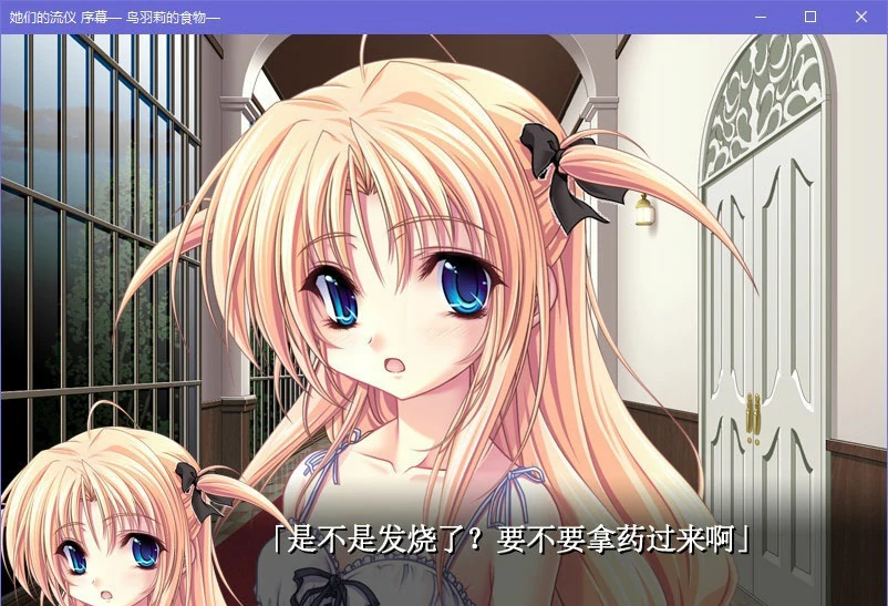 658ff3a15a8dd 【GalGame】【PC】她们的流仪