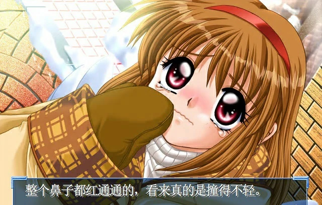 65950763062d0 【GalGame】【PC】Kanon
