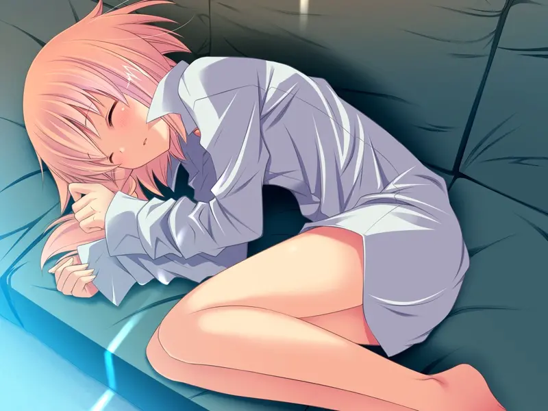 【GalGame】【PC】少女们向荒野进发(伪) こんそめ！～combination somebody～