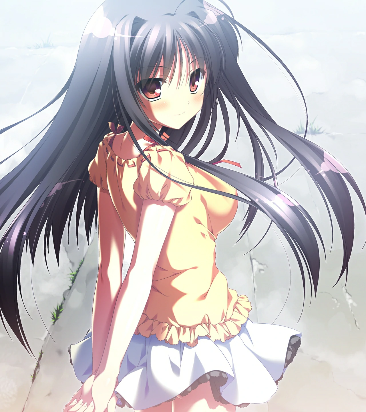 662a723a60319 【GalGame】【PC】夏空的英仙座