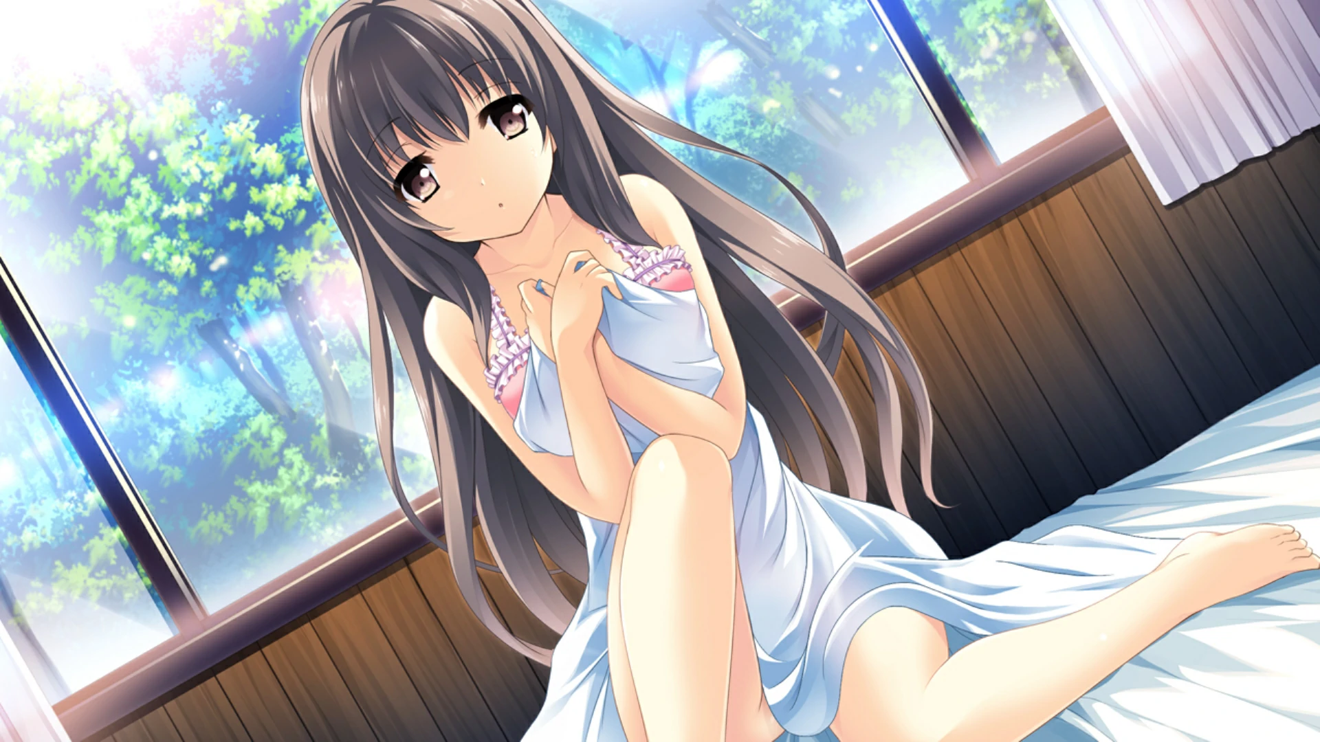 【GalGame】【PC】在这苍穹展翅-飞行日志-（If My Heart Had Wings -Flight Diary-）