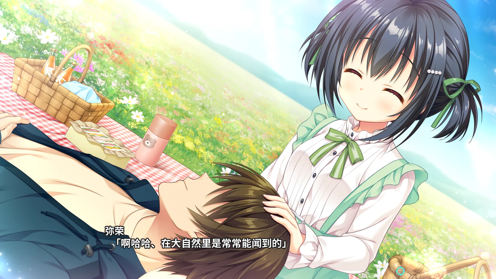 【GalGame】【PC】Ambitious Mission FD2