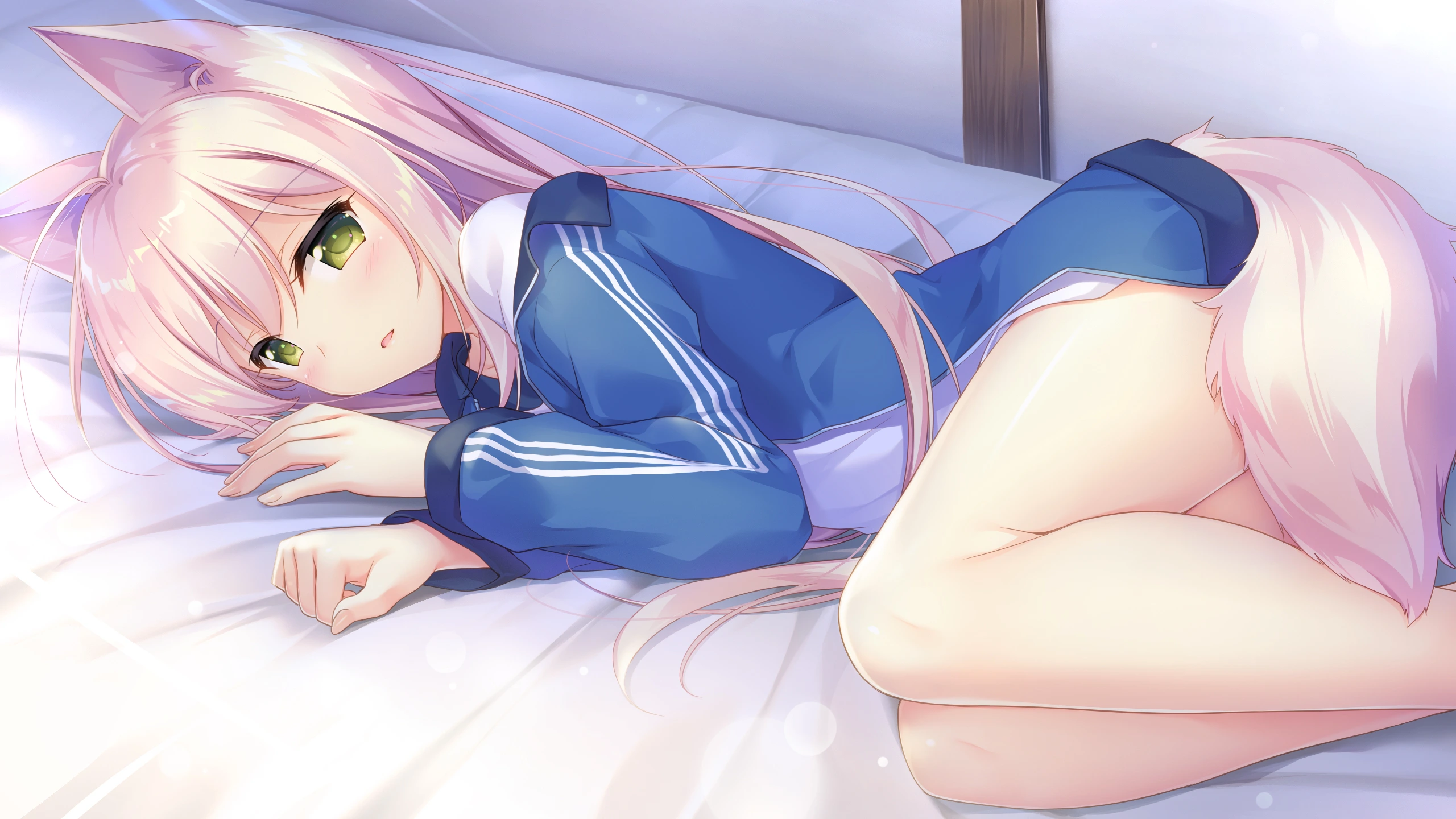 【GalGame】【PC】兽娘育成方案