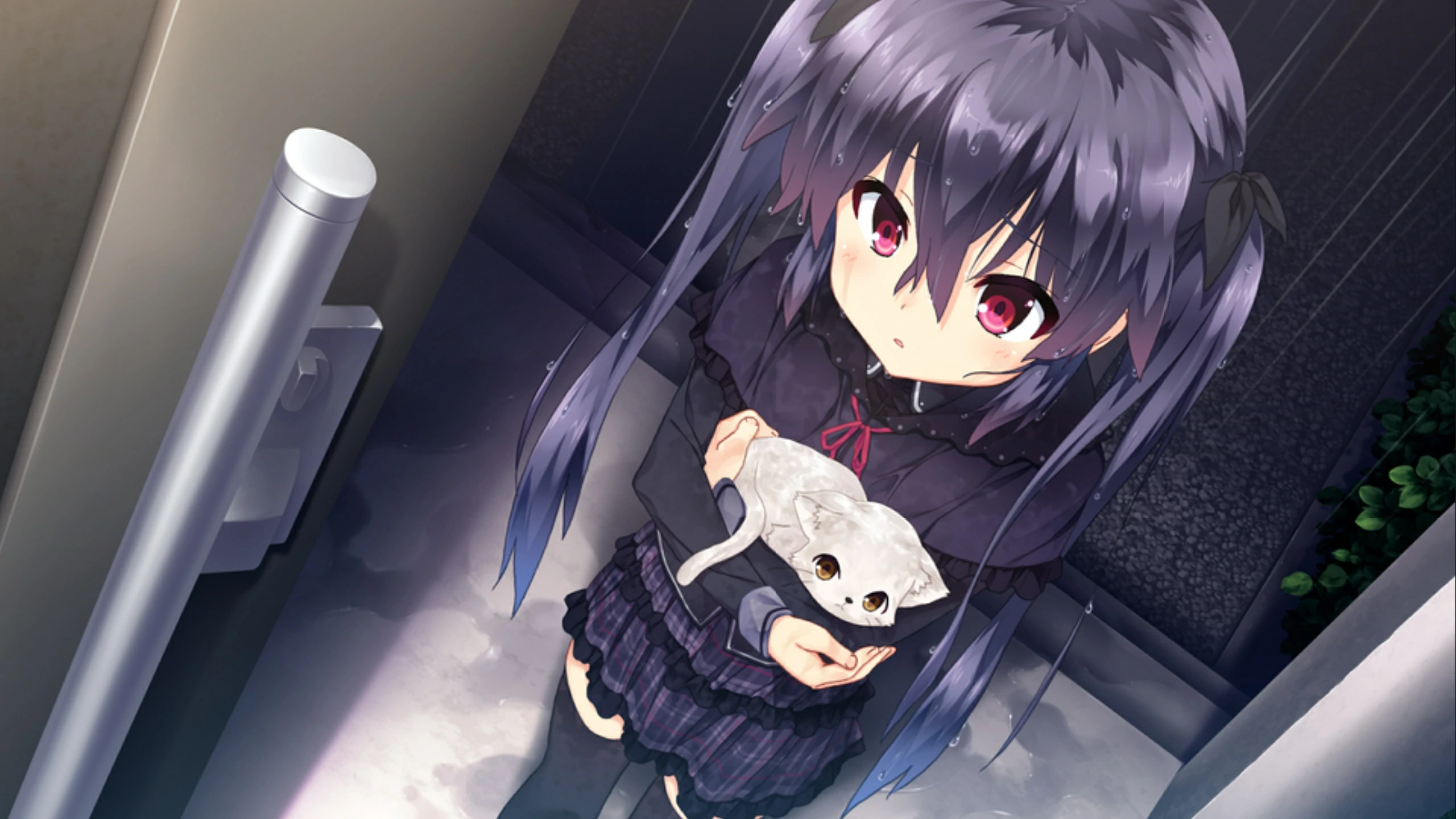 【GalGame】【PC】向日葵天空鹅卵石