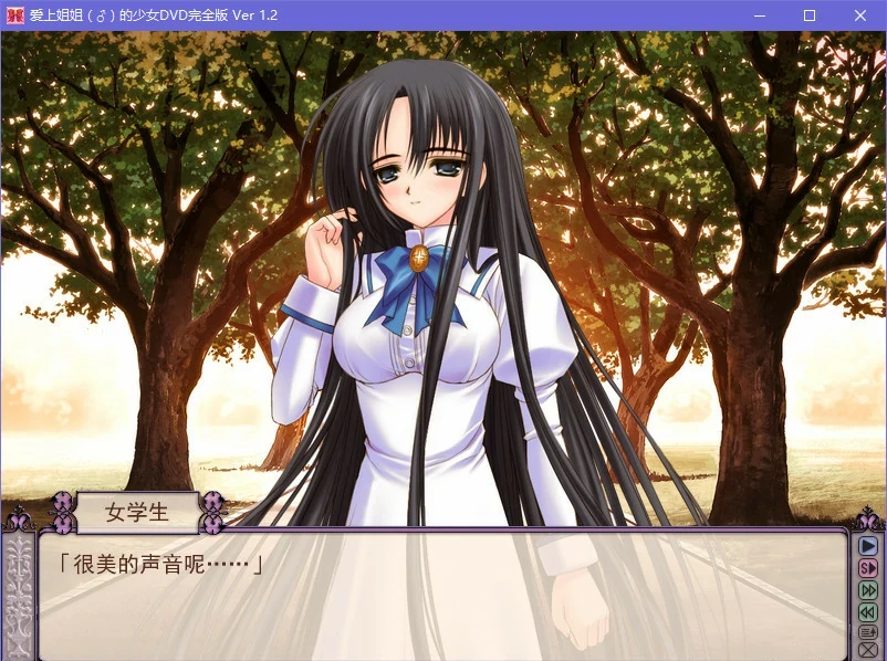 【GalGame】【PC】少女爱上姐姐1