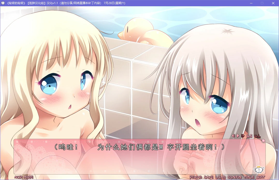 67adeef584b62 【Gal】【PC】秘密的秘密