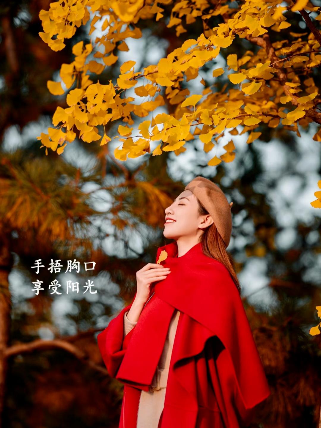 00c4519d6eea1f5d1d19e712da587129