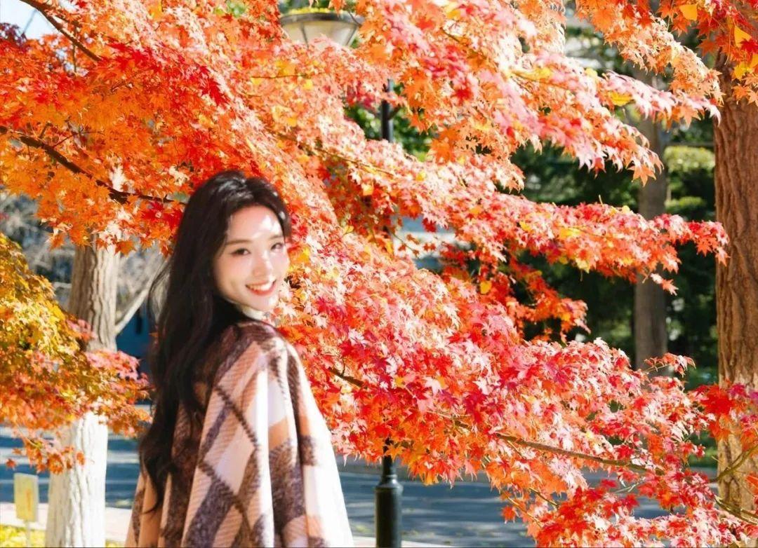 01a765c427bc0f21e8cd08885a60deb2 01a765c427bc0f21e8cd08885a60deb2