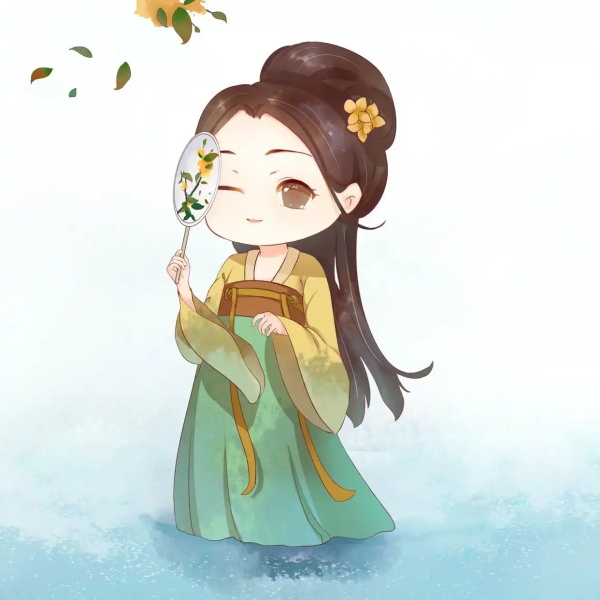 15081506628 15081506628