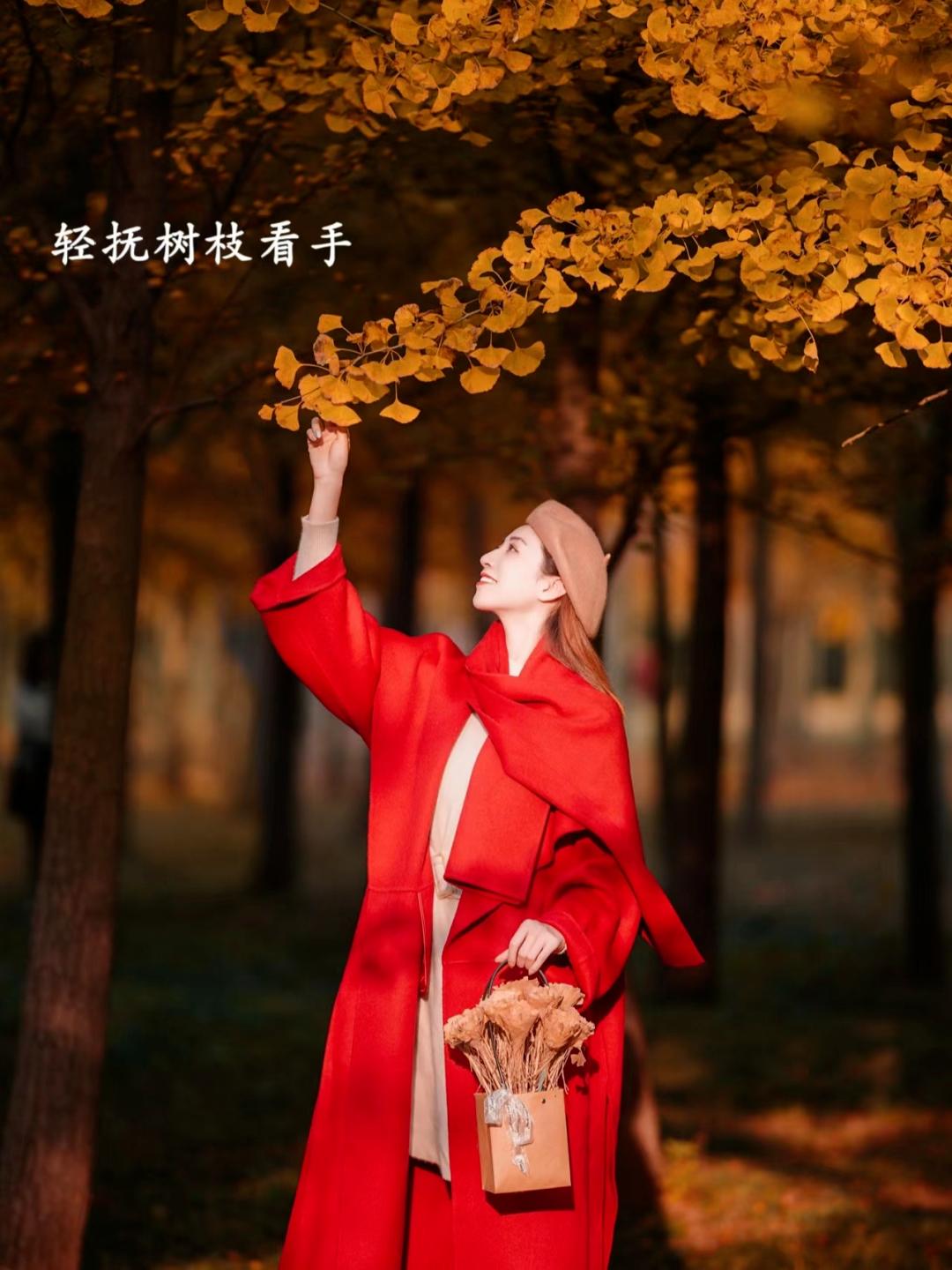 1e583d5b906d6233e8b48b6b12776a0d