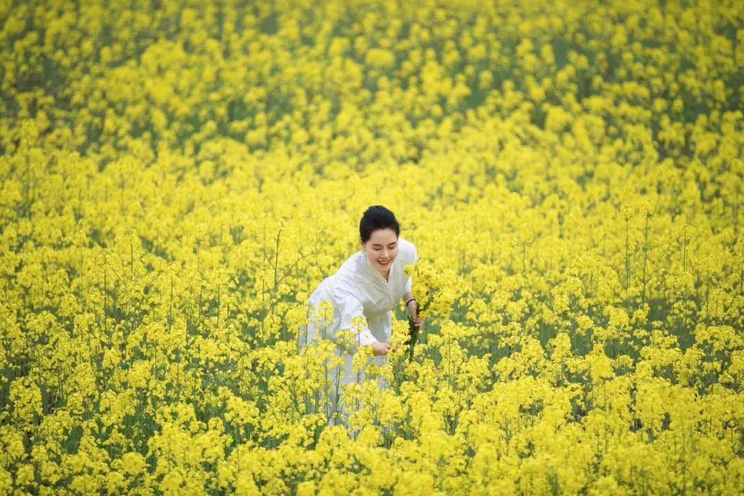 201d0e1b71df50bc03eaf5334543acba 201d0e1b71df50bc03eaf5334543acba