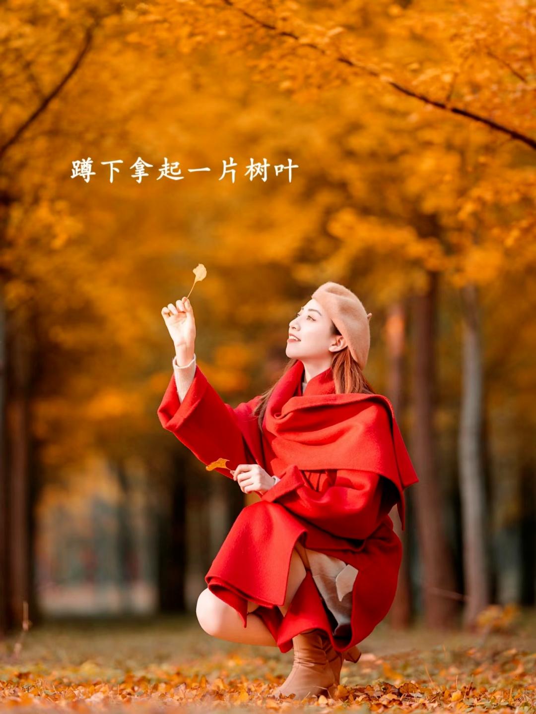 207f8ca45bdc1a997abe15a38cb9fa17