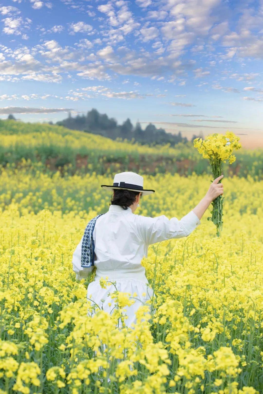 384c350f2562577e646f832cf56853ed 384c350f2562577e646f832cf56853ed