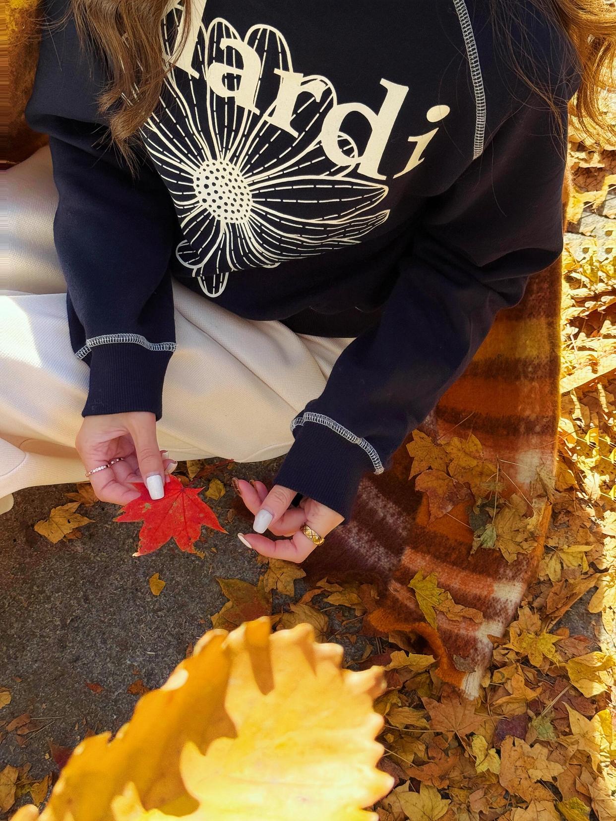 4979329562b8ff7d45049dd94b73f5ad