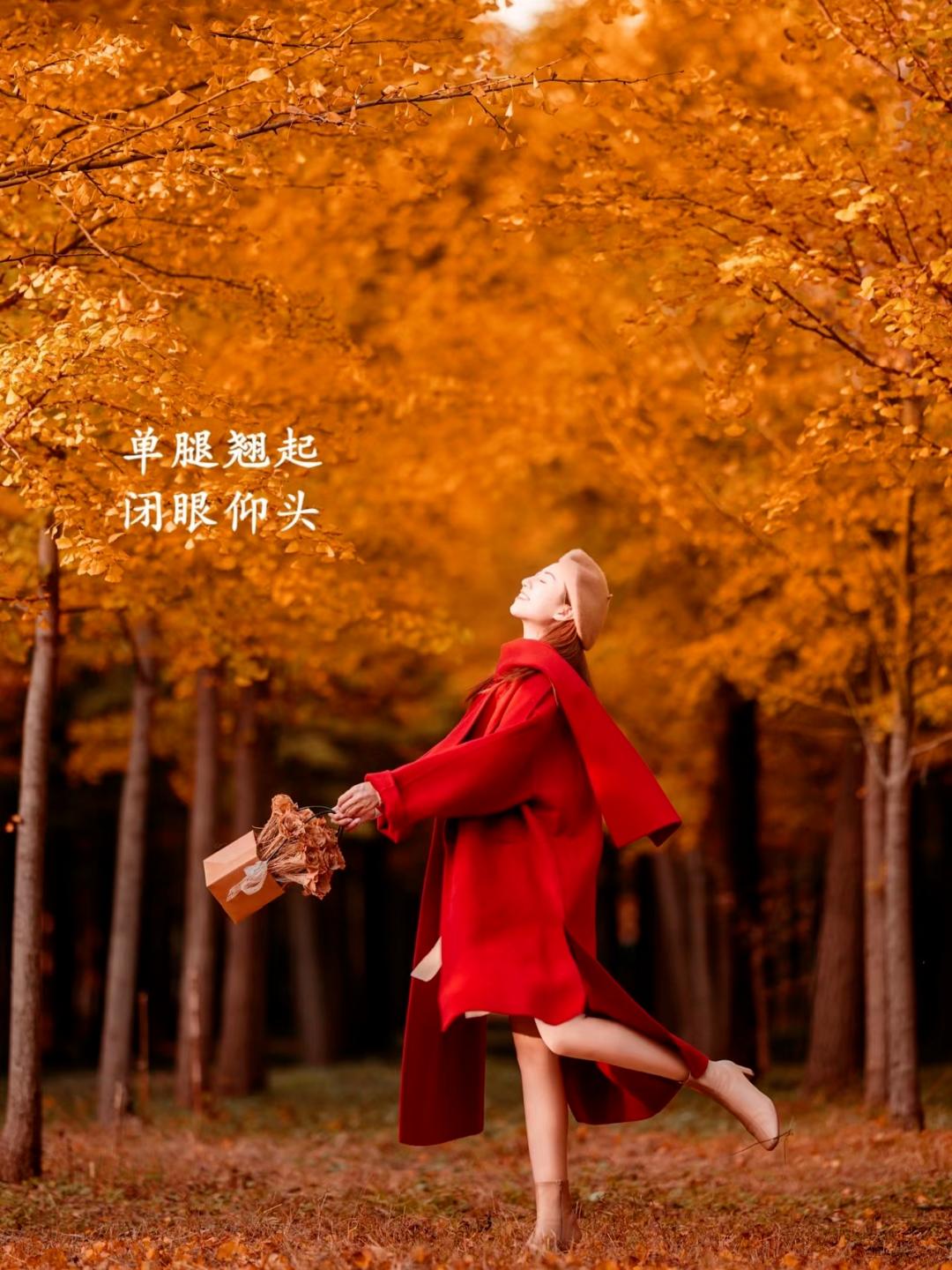 5e3566ca0645b23db21241eee69ae513