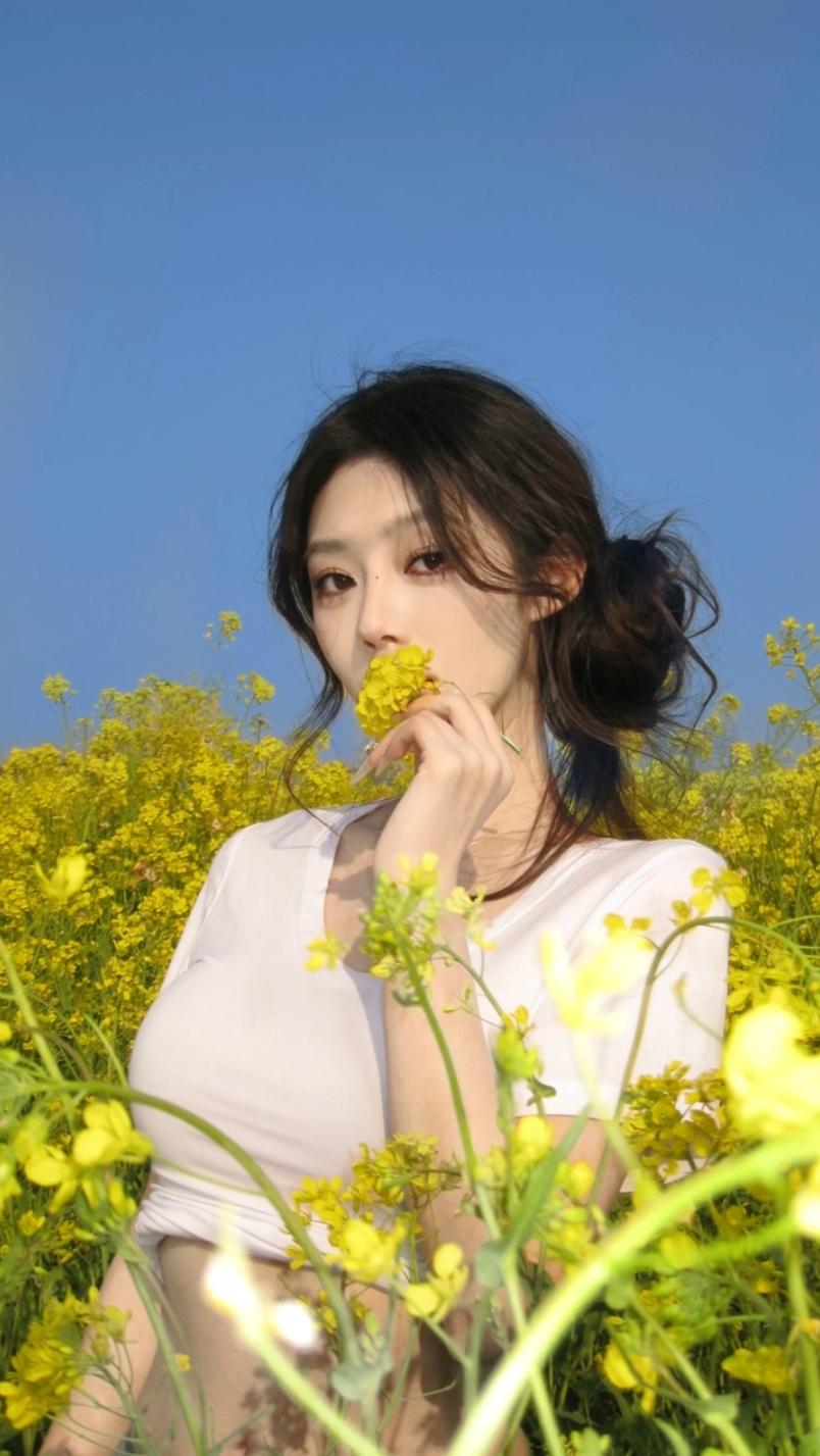 6f07c8efcfbe3684ba73e111d827e4aa