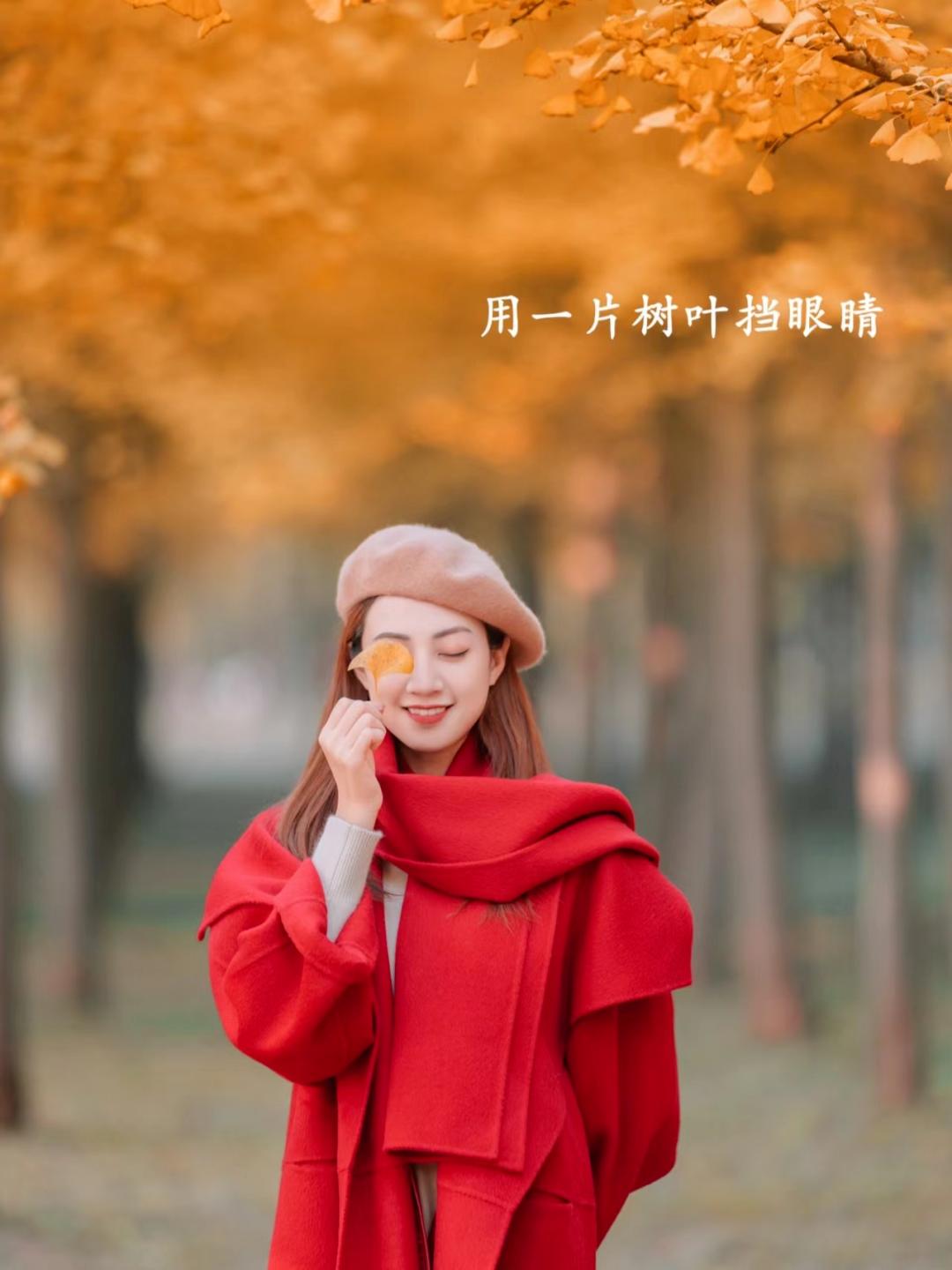 95de5f3a622771915fd8d4cc29bf8419