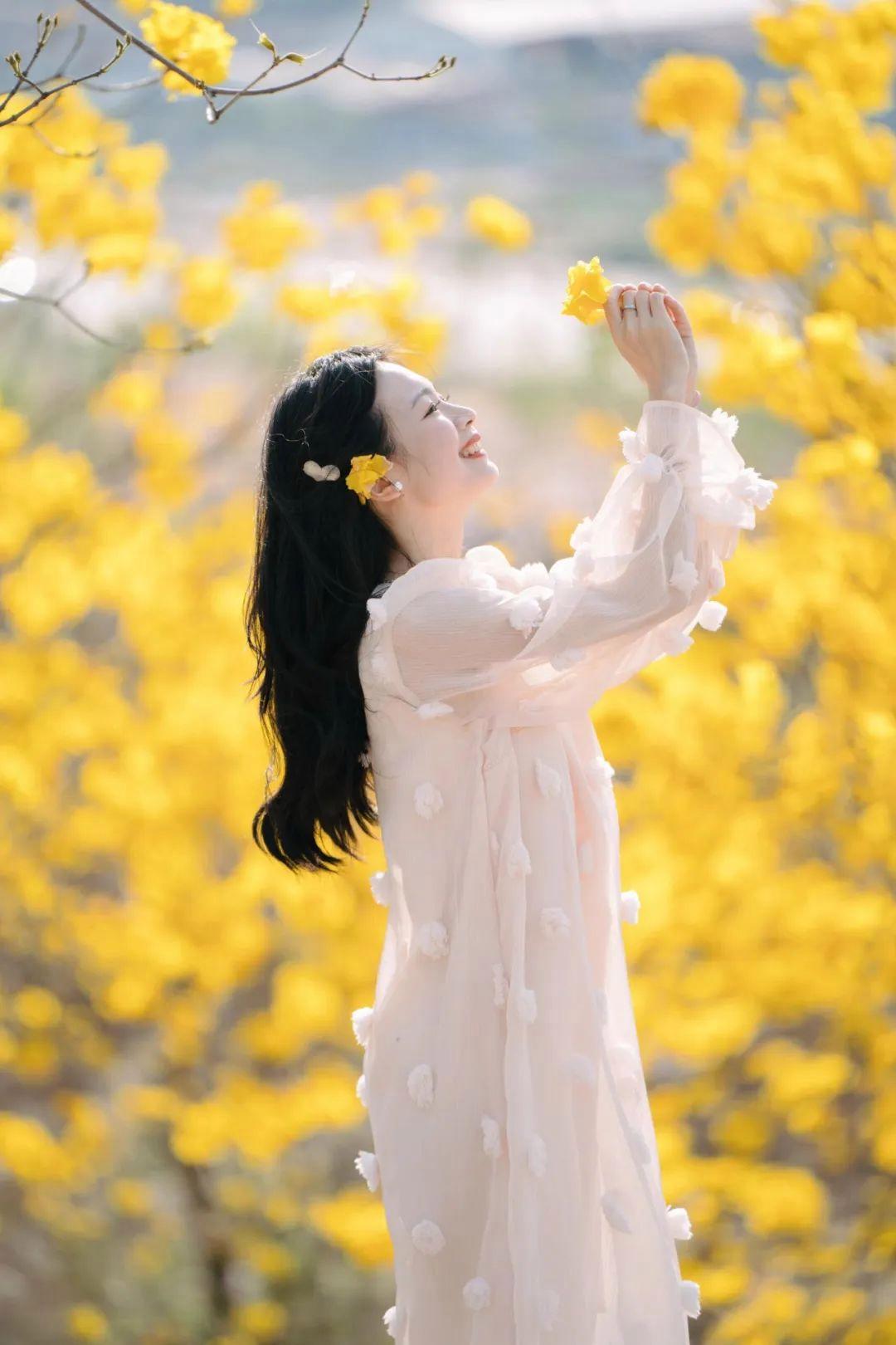 b8e87481004752ad8cbc15cb30875708