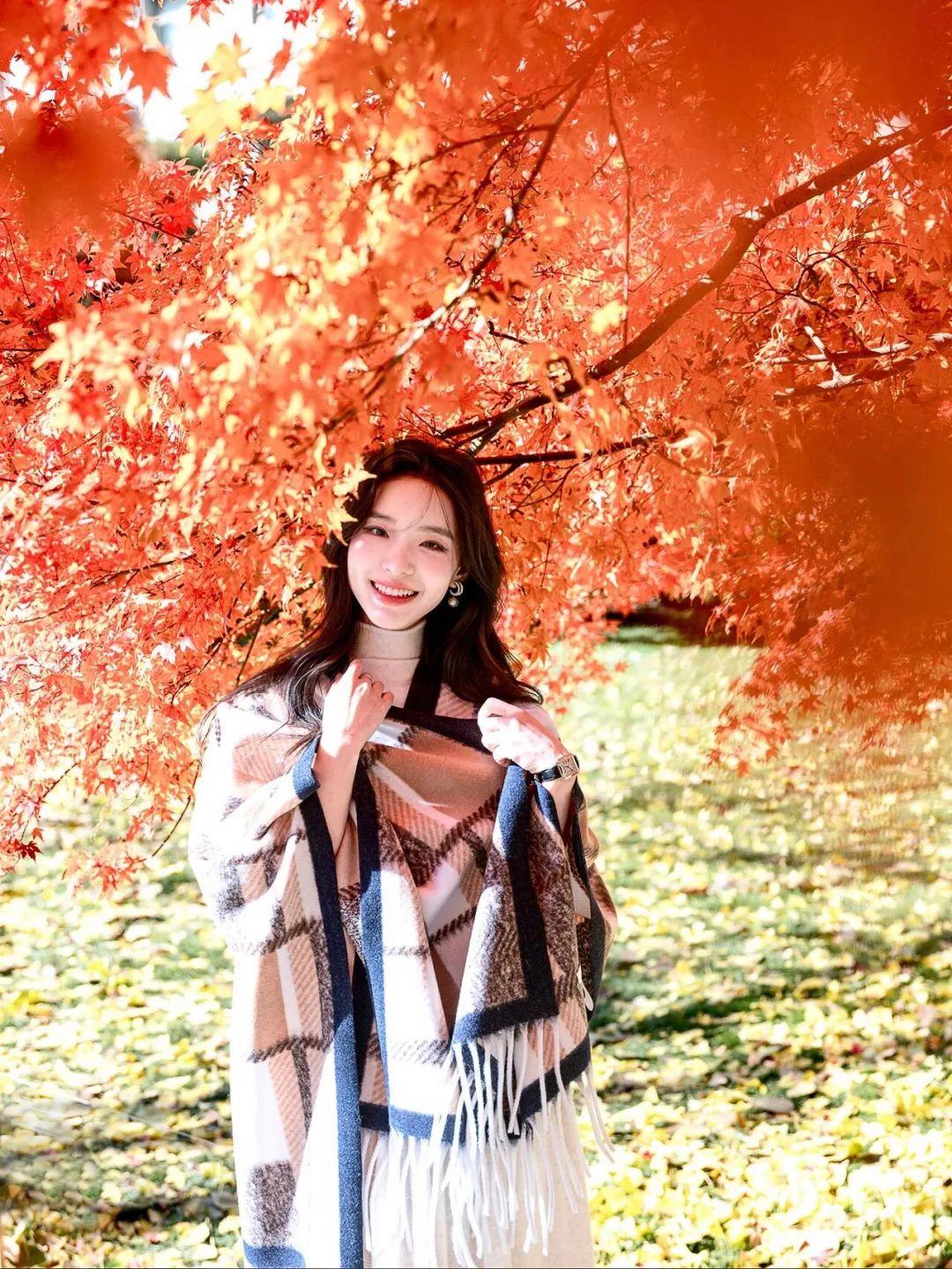 e613965158dc906ddd0dccdebba5fef4 e613965158dc906ddd0dccdebba5fef4