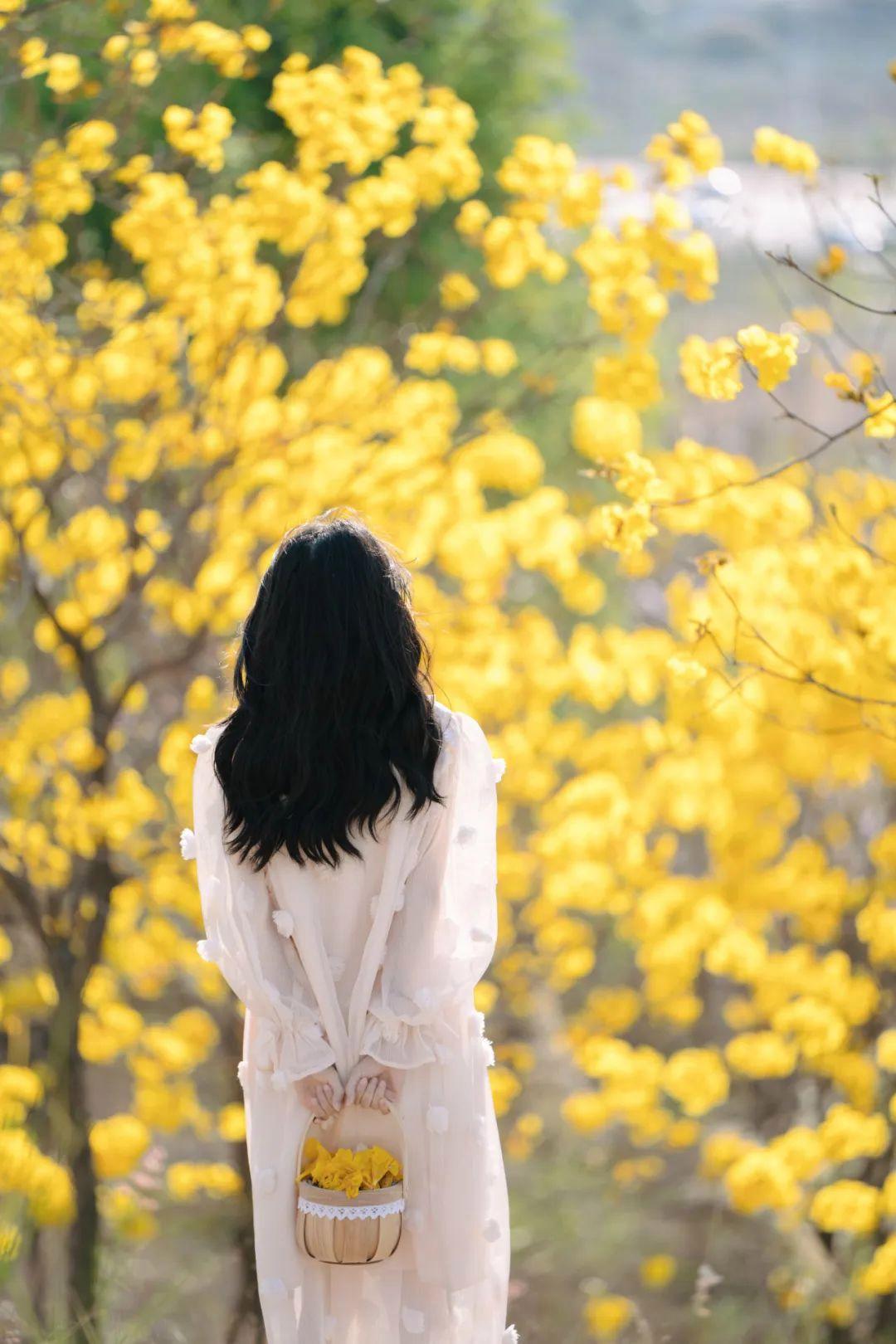 fc6f3e0455fc6eb816f1a8b1d5082045