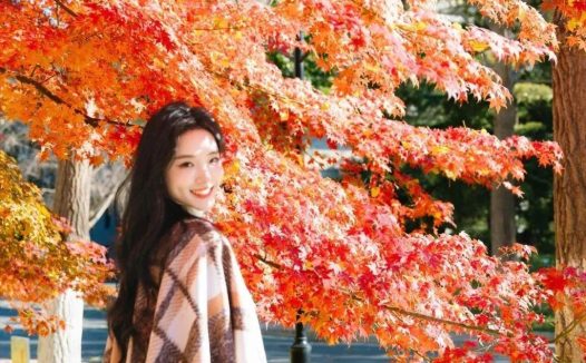 秋天拍照,11个姿势,拍照自然又好看,浪漫优雅有氛围感