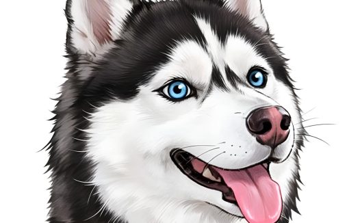 哈士奇头像🐶超萌来袭！9张